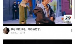 封闭室友爆料视频大全集,揭秘校园生活背后的真实故事