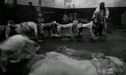 蜈蚣在线观看影片,惊悚悬疑，探寻神秘生物的恐怖真相