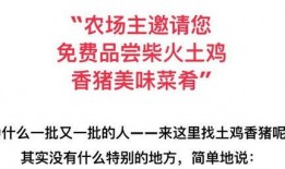 文案吃瓜网红怎么写好看,揭秘吃瓜网红的吸睛秘籍