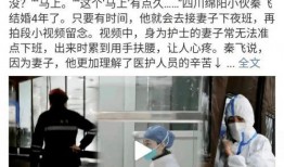 护士爆料丈夫视频大全集,真相大白背后的家庭悲剧