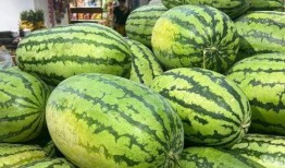 免费吃瓜入口在哪里找到,轻松获取美食资讯攻略