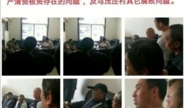 新闻爆料潘姥姥事件真相,揭开养老院虐待真相