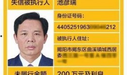 揭阳最新爆料消息公布,重大事件背后真相揭晓！
