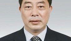 记者爆料李波视频,记者揭秘背后惊人真相