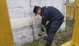 最新爆料林先生的事件,最新爆料揭示惊人真相