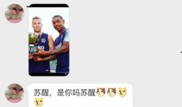 苏醒爆料自己是谁了视频,视频爆料背后的惊人真相