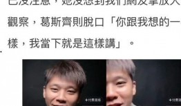 葛斯齐最新爆料大s电梯,真相背后引人深思