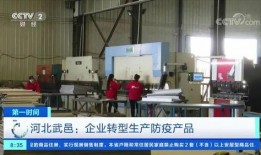 武邑爆料最新新闻报道,聚焦热点事件深度解析