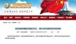 宾阳吧新闻爆料,揭秘当地热点事件背后的真相