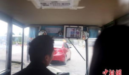 成都王女士最新爆料,揭秘事件背后惊人真相