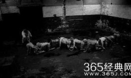 蜈蚣在线观看影片,惊悚悬疑，探寻神秘生物的恐怖真相