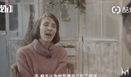 刘有才前妻爆料视频在线观看,揭秘婚姻内幕，情感纠葛引热议