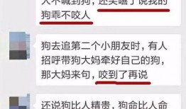 周口市最新爆料消息今天,最新爆料揭示惊人真相，市民热议！”