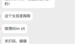 网友爆料去美国了吗视频,揭秘“去美国了吗”视频背后的真相