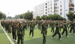 南海中学爆料新闻,校园风云再起，真相即将揭晓