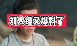 爆料娱乐圈的刘大锤小说,娱乐圈幕后真相大曝光