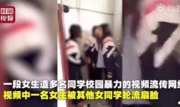 成都20岁女孩爆料视频,揭秘校园内幕，勇敢发声引关注