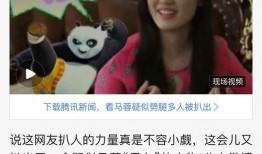 爆料马蓉的狗仔视频大全,揭秘娱乐圈背后的真相