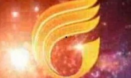 南方tvs今日爆料,揭秘娱乐圈最新热点事件