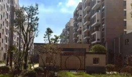 大连开发区最新爆料电话,揭秘背后真相