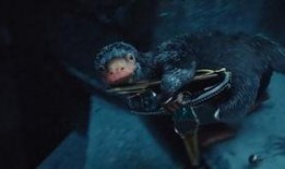 哈利波特最新爆料6月,神秘新篇章，揭秘6月重磅爆料！