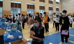 晨光最新爆料消息视频,揭秘视频背后的惊人真相