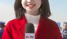 王冰冰娱乐爆料事件真相,揭秘背后真相与影响