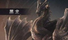 黑龙爆料辛卫林视频大全,辛卫林视频大全背后的惊人真相