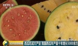 国内最大的免费吃瓜,揭秘热门事件背后的真相与笑料