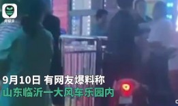 bee9在线观看视频,揭秘热门视频背后的精彩故事