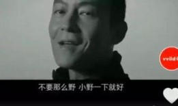 罗永浩爆料完整视频,行业内幕与个人感悟深度剖析