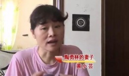 阿蛋哥老婆前夫爆料视频,揭秘婚姻背后的惊人真相