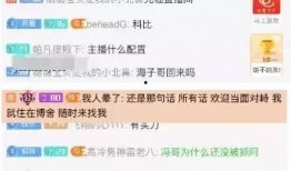 爆料土豪大海视频大全集,视频大全集背后的奢华生活