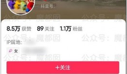 吃瓜网红网页,网络红人的崛起与影响力