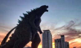 荒野新皮肤爆料视频大全,视觉盛宴，尽享游戏魅力