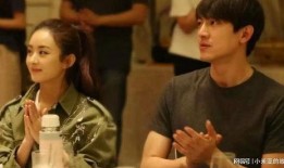 爆料娱乐圈的刘大锤小说,娱乐圈幕后真相大曝光