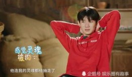 娱乐圈真实爆料王源,娱乐圈背后的真实故事揭秘