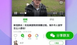 甄妮爆料聊天记录视频下载,揭秘娱乐圈幕后真相