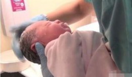 老爸心肝在线观看,温情家庭剧在线观看，共度温馨时光