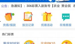 彩票爆料视频大全下载最新,揭秘最新中奖技巧与策略