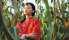 电视剧红高粱全集在线观看,激情燃烧的岁月，热血沸腾的抗战传奇