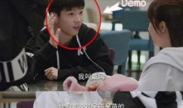 谁爆料肖战杨紫的视频,幕后真相引热议