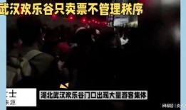 武汉二环爆料事件视频,揭秘真相与争议瞬间