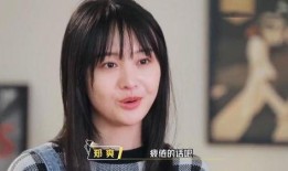 郑爽爆料娱乐圈合集,郑爽爆料合集深度解析