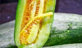 去哪里吃网红瓜好吃,解锁各地特色瓜果美味之旅