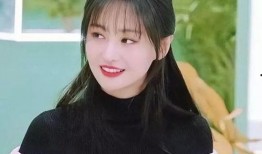 郑爽爆料娱乐圈合集,郑爽爆料合集深度解析