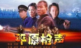 平原枪声电影在线观看,烽火岁月里的英雄传奇