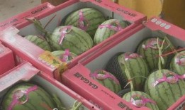 网红吃瓜爆料福利,福利大放送！