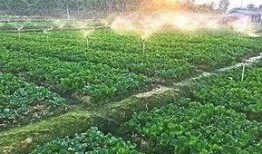 一亩三分地在线观看,揭秘农业科技发展之路