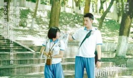 最好的我们在线观看,青春记忆中的励志篇章